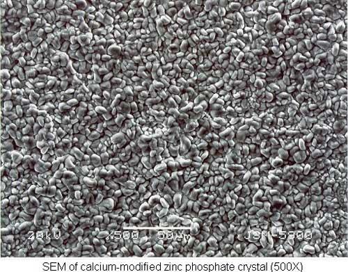 SEM micrograph of calcium modified zinc phosphate crystal at 500X magnification